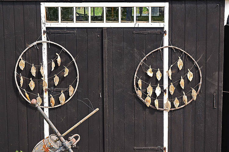 SDWA seniorenuitje2023_140